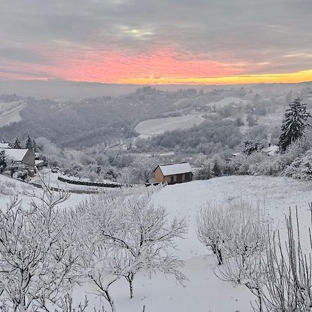 Villa Wine Panorama House Jastrebarsko Exterior foto