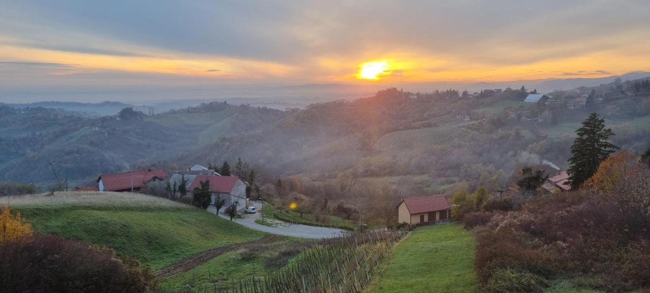 Villa Wine Panorama House Jastrebarsko Exterior foto