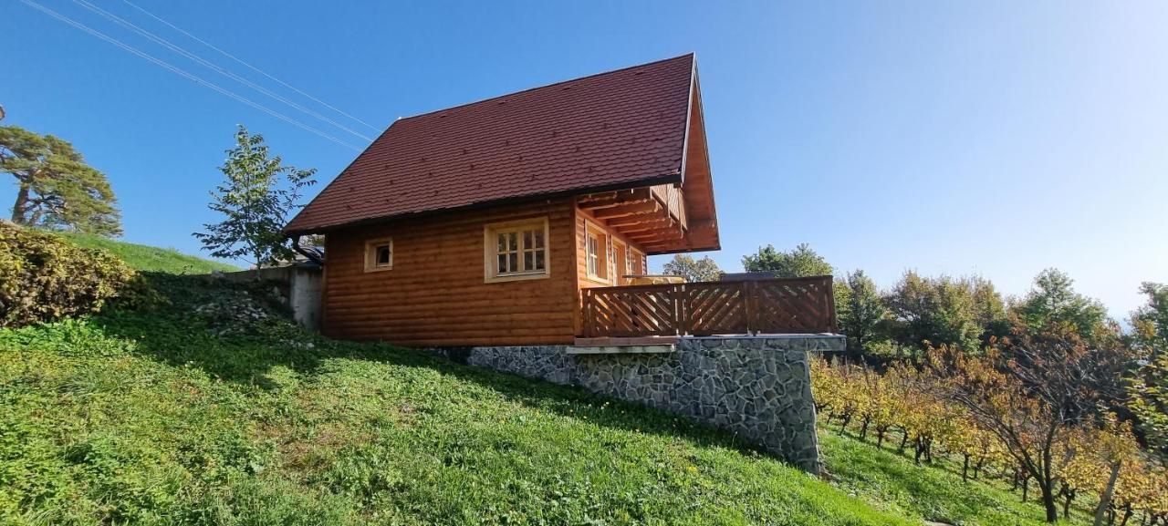 Villa Wine Panorama House Jastrebarsko Exterior foto
