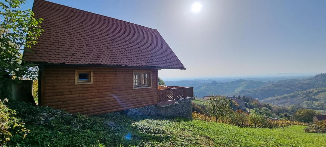 Villa Wine Panorama House Jastrebarsko Exterior foto