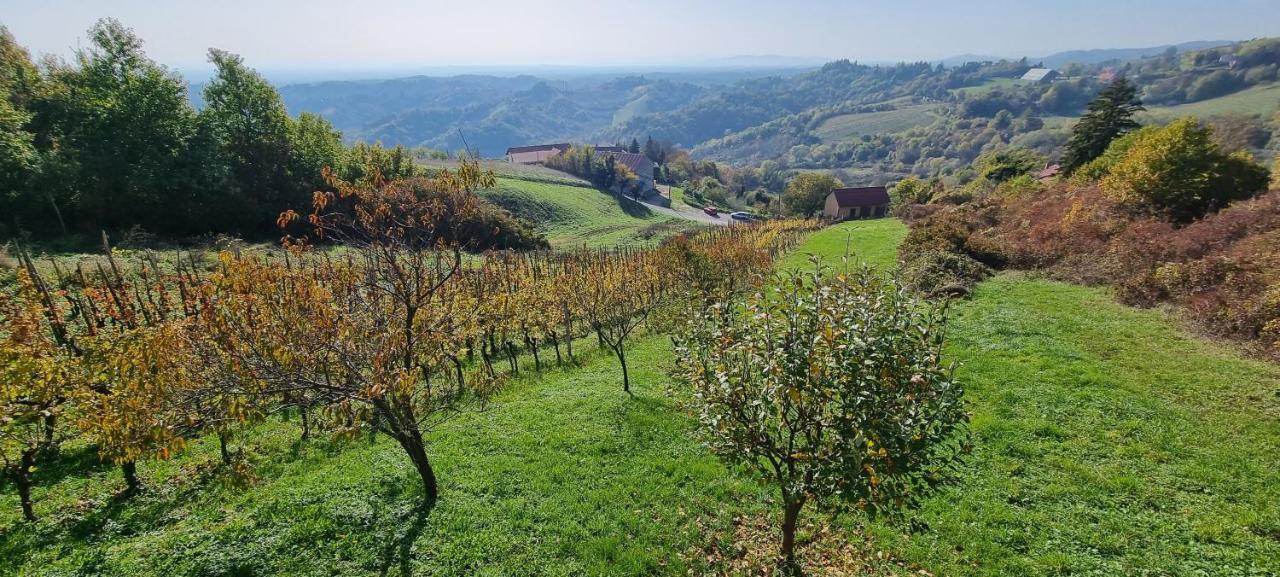 Villa Wine Panorama House Jastrebarsko Exterior foto