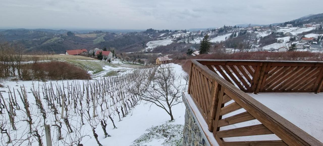 Villa Wine Panorama House Jastrebarsko Exterior foto