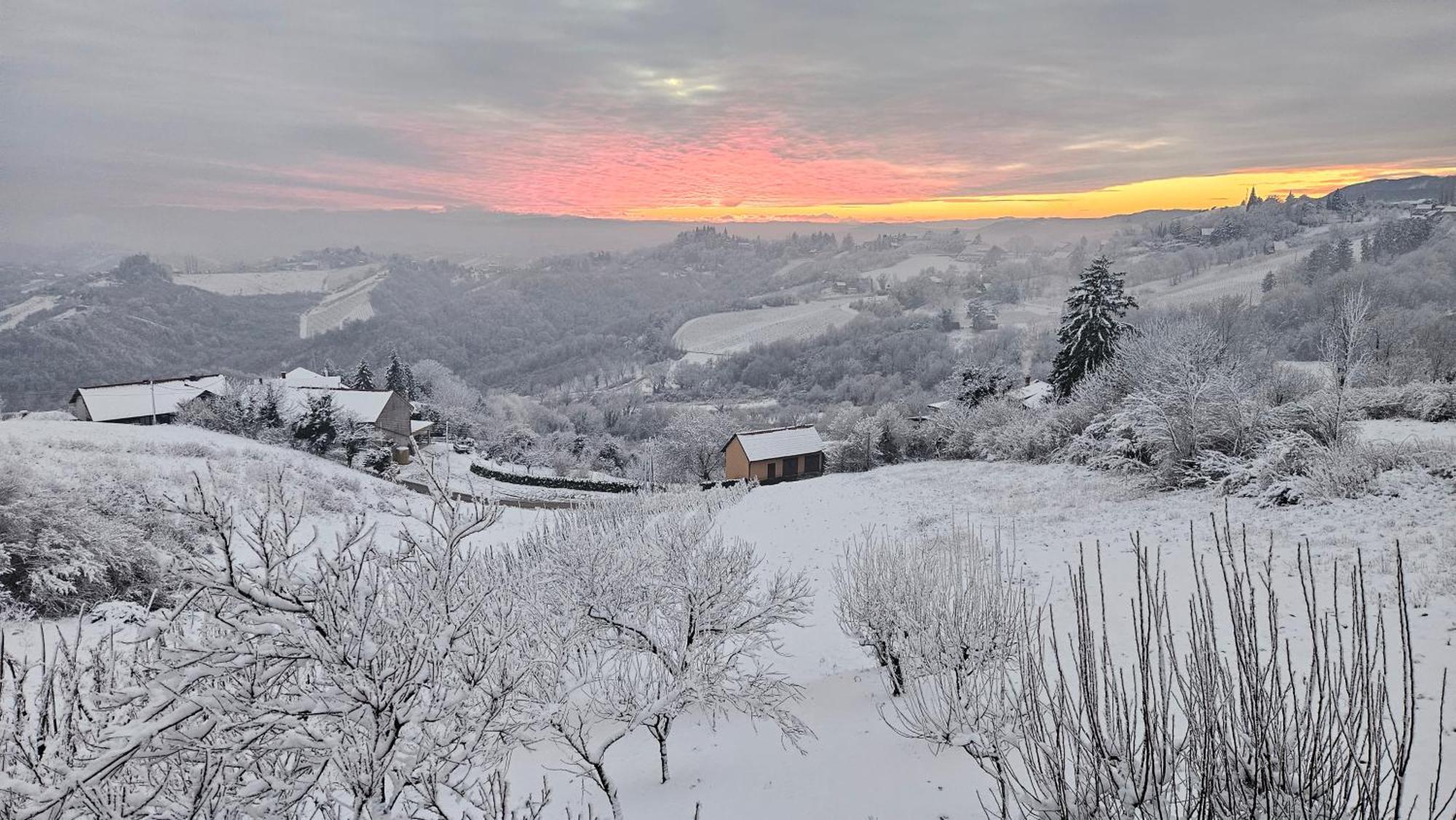 Villa Wine Panorama House Jastrebarsko Exterior foto